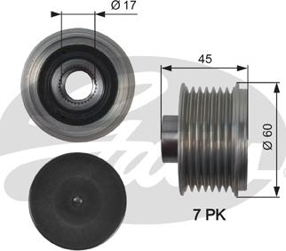 Gates OAP7136 - Remenica, alternator www.molydon.hr