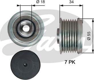 Gates OAP7213 - Remenica, alternator www.molydon.hr