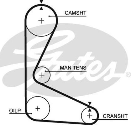 GATES-AU T615 - Zupčasti remen  www.molydon.hr