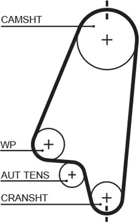 GATES-AU T1041 - Zupčasti remen  www.molydon.hr