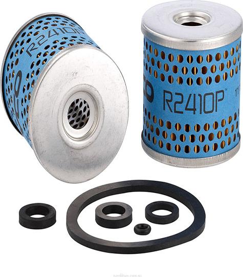 GCG Turbos Australia RY-R2410P - Filter za gorivo www.molydon.hr