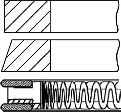 Goetze Engine 08-436907-00 - Komplet klipnih prstenova www.molydon.hr