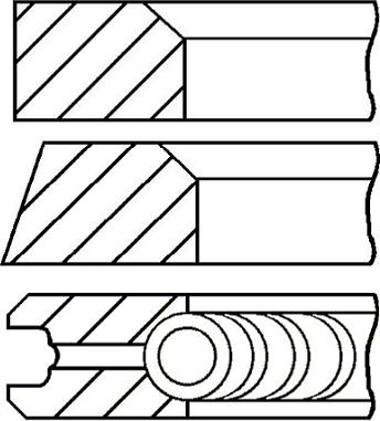 Goetze Engine 08-117900-00 - Komplet klipnih prstenova www.molydon.hr