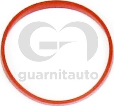 Guarnitauto 181521-8000 - Brtva, usisna grana www.molydon.hr