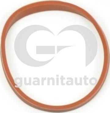 Guarnitauto 183592-8300 - Brtva, usisna grana www.molydon.hr