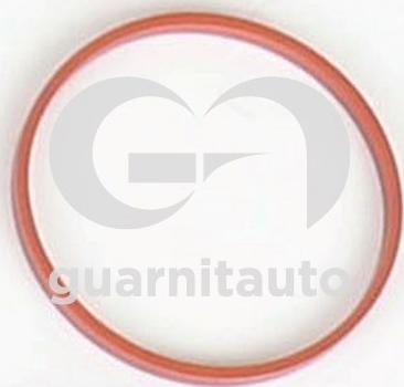 Guarnitauto 183686-8200 - Brtva, usisna grana www.molydon.hr