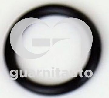 Guarnitauto 183688-8000 - Brtva, usisna grana www.molydon.hr