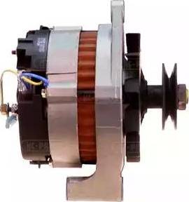 HC-Parts CA317IR - Alternator www.molydon.hr