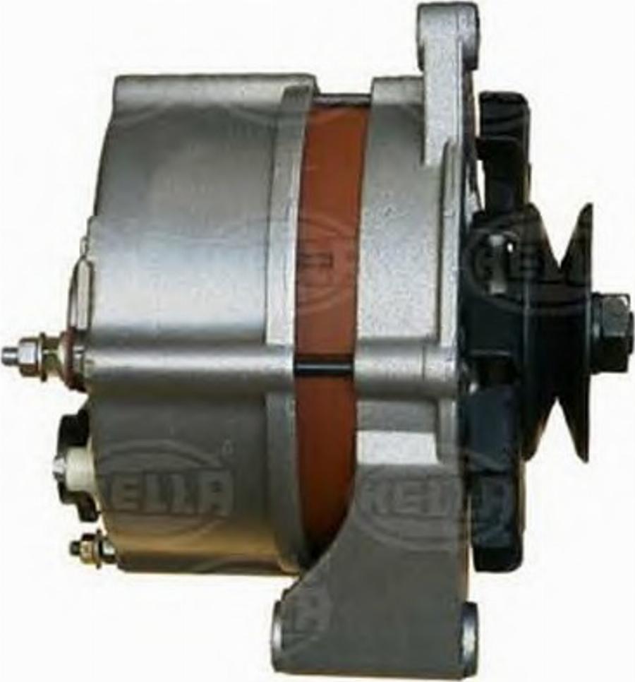 HELLA 8EL725566001 - Alternator www.molydon.hr