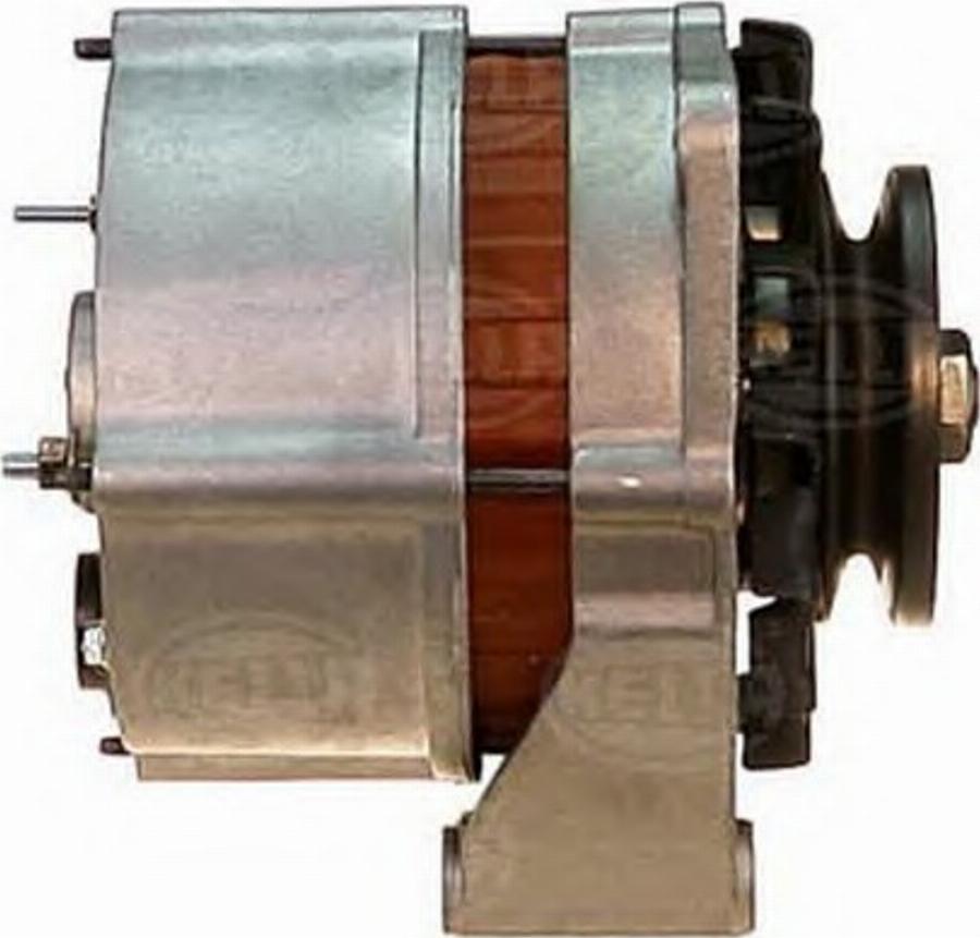 HELLA 8EL 725 743-001 - Alternator www.molydon.hr