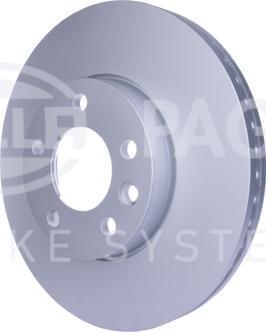 HELLA PAGID 8DD 355 109-661 - Kočioni disk www.molydon.hr