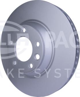 HELLA PAGID 8DD 355 109-761 - Kočioni disk www.molydon.hr