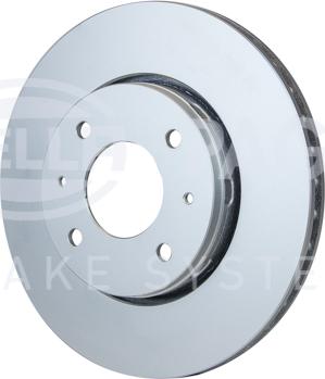 HELLA PAGID 8DD 355 105-552 - Kočioni disk www.molydon.hr