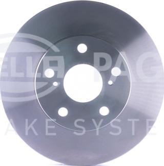 HELLA PAGID 8DD 355 105-251 - Kočioni disk www.molydon.hr