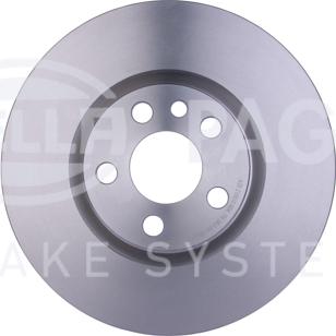 HELLA PAGID 8DD 355 108-761 - Kočioni disk www.molydon.hr