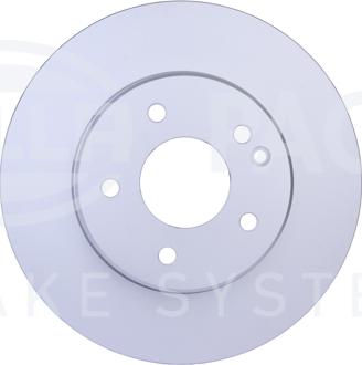 HELLA PAGID 8DD 355 102-971 - Kočioni disk www.molydon.hr