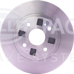 HELLA PAGID 8DD 355 107-201 - Kočioni disk www.molydon.hr