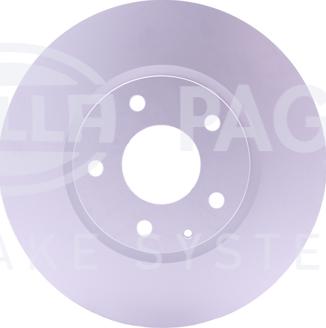 HELLA PAGID 8DD 355 119-581 - Kočioni disk www.molydon.hr