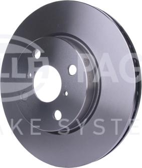 HELLA PAGID 8DD 355 114-311 - Kočioni disk www.molydon.hr