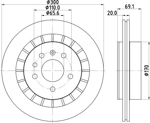 HELLA PAGID 8DD 355 114-381 - Kočioni disk www.molydon.hr