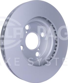 HELLA PAGID 8DD 355 110-431 - Kočioni disk www.molydon.hr