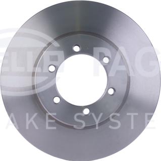 HELLA PAGID 8DD 355 111-991 - Kočioni disk www.molydon.hr