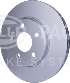 HELLA PAGID 8DD 355 111-081 - Kočioni disk www.molydon.hr