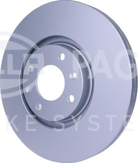 HELLA PAGID 8DD 355 111-321 - Kočioni disk www.molydon.hr