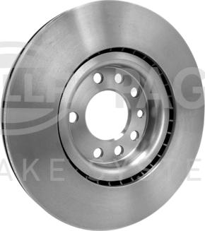 HELLA PAGID 8DD 355 113-541 - Kočioni disk www.molydon.hr