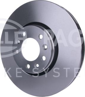 HELLA PAGID 8DD 355 113-671 - Kočioni disk www.molydon.hr