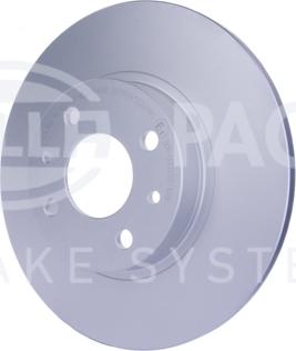 HELLA PAGID 8DD 355 117-931 - Kočioni disk www.molydon.hr