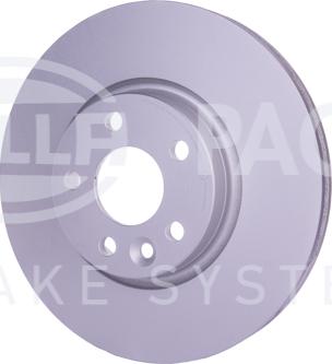 HELLA PAGID 8DD 355 129-491 - Kočioni disk www.molydon.hr