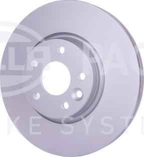 HELLA PAGID 8DD 355 129-161 - Kočioni disk www.molydon.hr