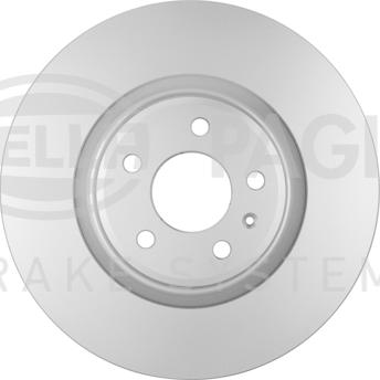 HELLA PAGID 8DD 355 125-171 - Kočioni disk www.molydon.hr