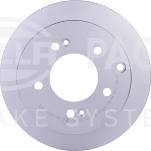 HELLA PAGID 8DD 355 125-301 - Kočioni disk www.molydon.hr