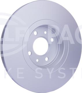 HELLA PAGID 8DD 355 128-551 - Kočioni disk www.molydon.hr