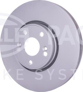 HELLA PAGID 8DD 355 128-891 - Kočioni disk www.molydon.hr