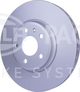 HELLA PAGID 8DD 355 128-721 - Kočioni disk www.molydon.hr