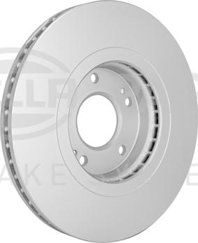 HELLA PAGID 8DD 355 122-501 - Kočioni disk www.molydon.hr