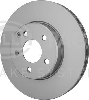 HELLA PAGID 8DD 355 127-751 - Kočioni disk www.molydon.hr