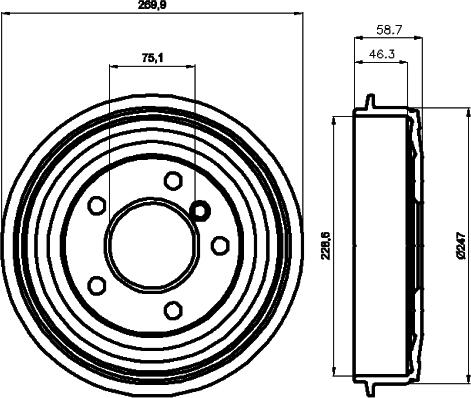 HELLA PAGID 8DT 355 300-021 - Bubanj kočnica www.molydon.hr