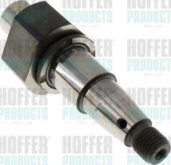 Hoffer 80298695 - Set za popravak, Common-rail sistem www.molydon.hr