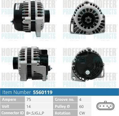 Hoffer H5560119 - Alternator www.molydon.hr