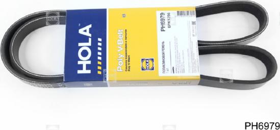 Hola PH6979 - Klinasti rebrasti remen  www.molydon.hr