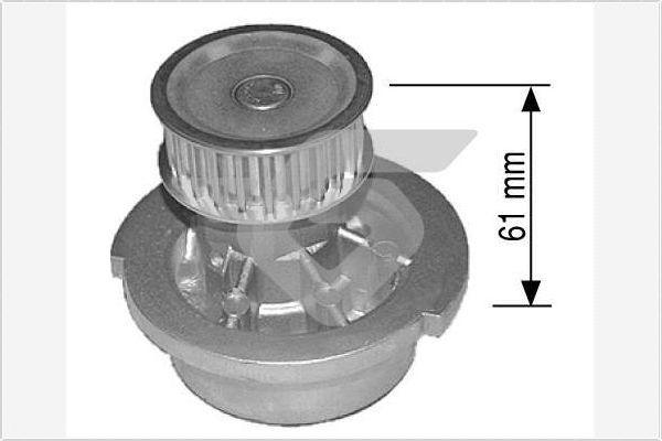 Hutchinson WP19 - Vodena pumpa www.molydon.hr