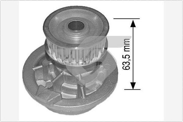 Hutchinson WP21 - Vodena pumpa www.molydon.hr