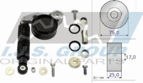 IJS GROUP 93-1429 - Set za popravak, Natezač klinastog rebrastog remena www.molydon.hr