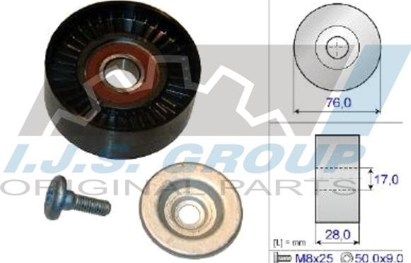 IJS GROUP 93-2138 - Vodeći valjak , klinasti rebrasti remen  www.molydon.hr