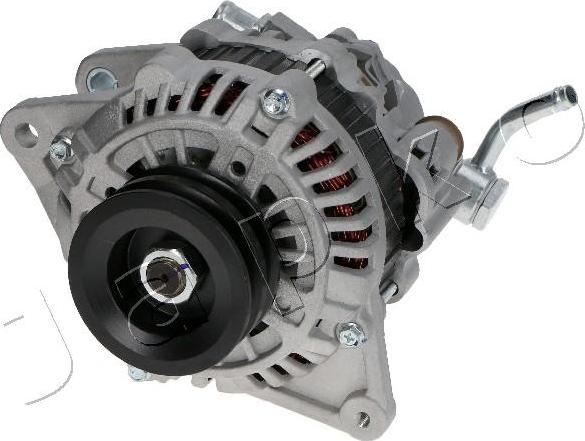 Japko 2C976 - Alternator www.molydon.hr