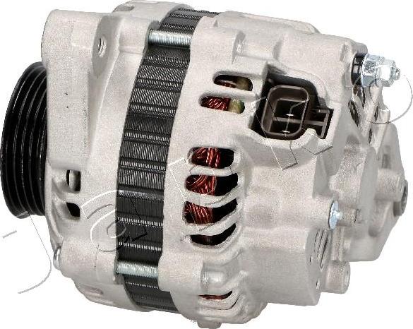 Japko 2D979 - Alternator www.molydon.hr